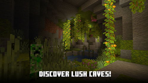 minecraft国际版1.21国际版下载新版安装包-minecraft国际版1.21免广告下载v.5.54